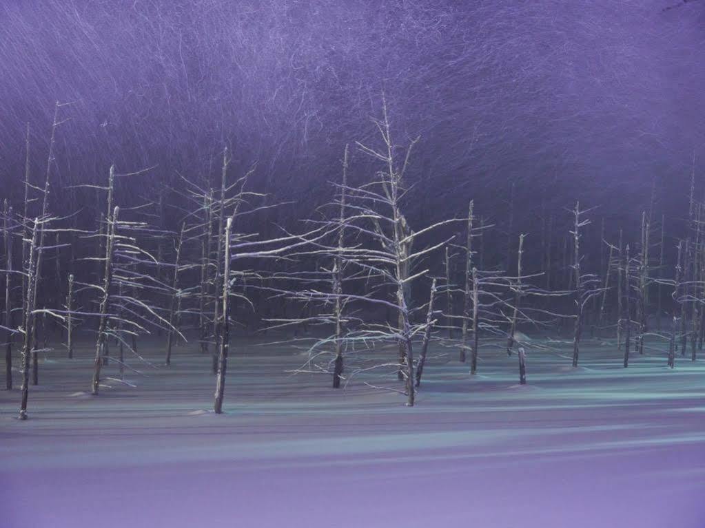 Hotel Park Hills Kamifurano Exteriör bild